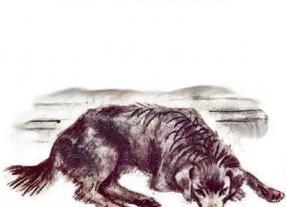 Кусака - краткое содержание