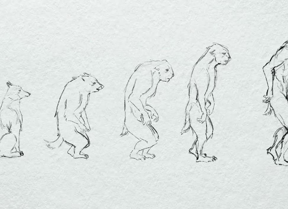 Собачье сердце - краткое содержание