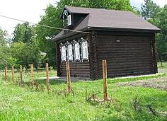 Действие рассказа 