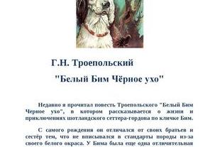 Белый Бим, Черное ухо - краткое содержание