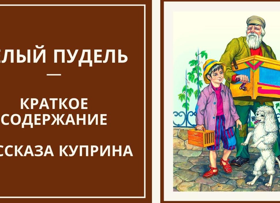 Белый пудель - краткое содержание